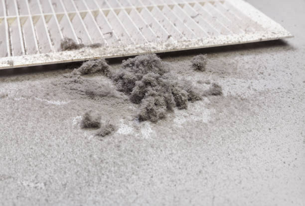 Best Affordable Air Duct Cleaning  in Bean Station, TN