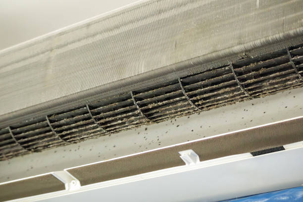 Best HVAC Maintenance and Cleaning  in Bean Station, TN